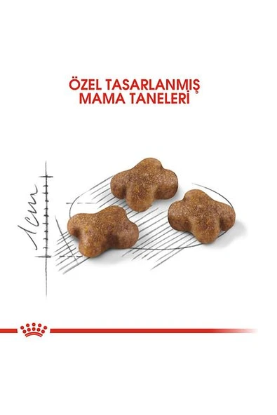 Kitten Yavru Kedi Maması - 10 Kg - Resim 2