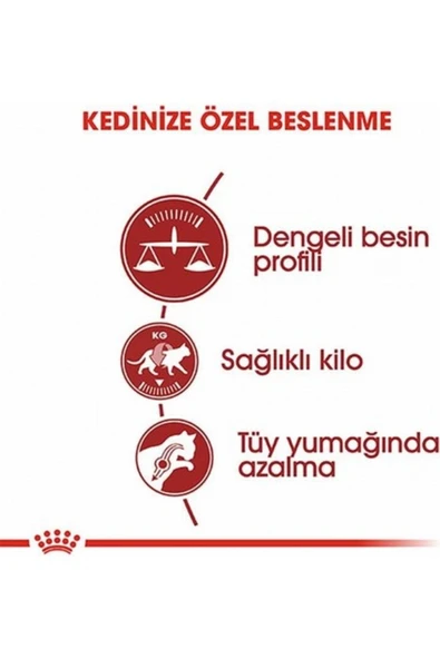 Fit 32 Yetişkin Kedi Maması 4 Kg - Resim 2