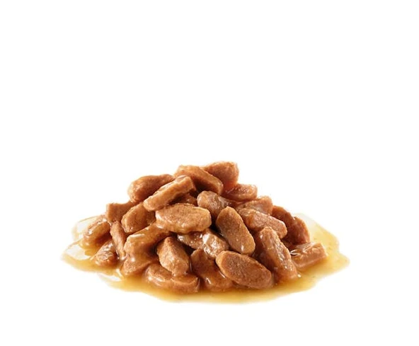 Gravy Sterilised Kısırlaştırılmış Yaş Kedi Maması 12 Adet 85 gr ürün görseli 1