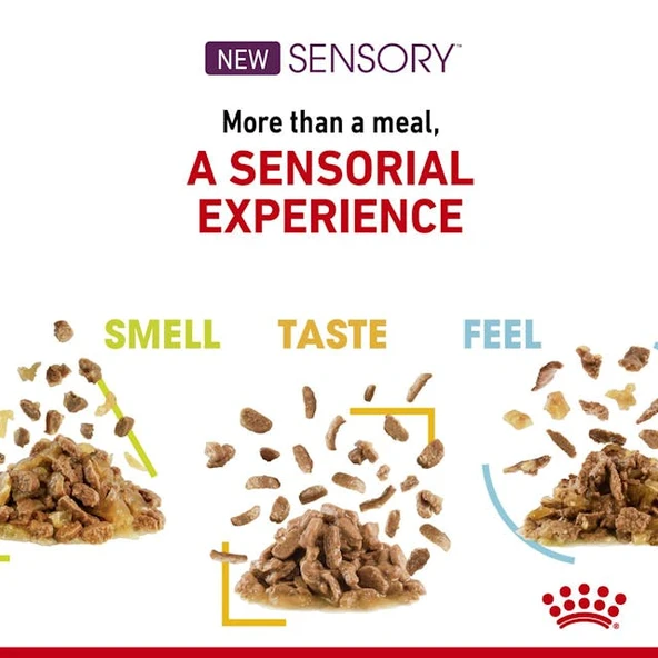 Royal Canin Sensory Taste Gravy Pouch Kedi Konserve Yaş Maması 85 Gr - 6