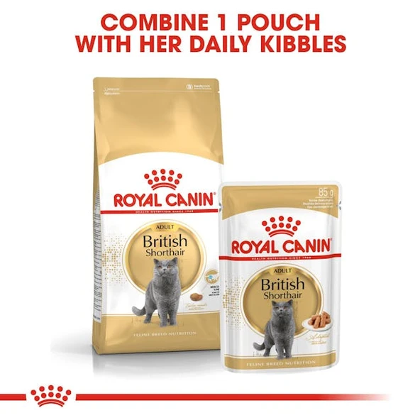 Royal Canin British Shorthair Yaş Kedi Maması Pouch 85gr - Resim 7