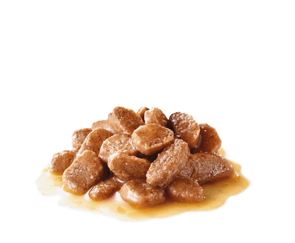 Royal Canin Ageing 12+ Gravy Pouch Yaşlı Kedi Yaş Maması 85 Gr - Resim 2