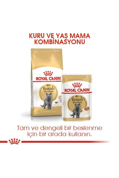 British Shorthair Adult Kedi Kuru Maması 2 Kg - Resim 5