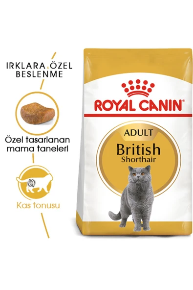 British Shorthair Adult Kedi Kuru Maması 2 Kg ürün görseli 1