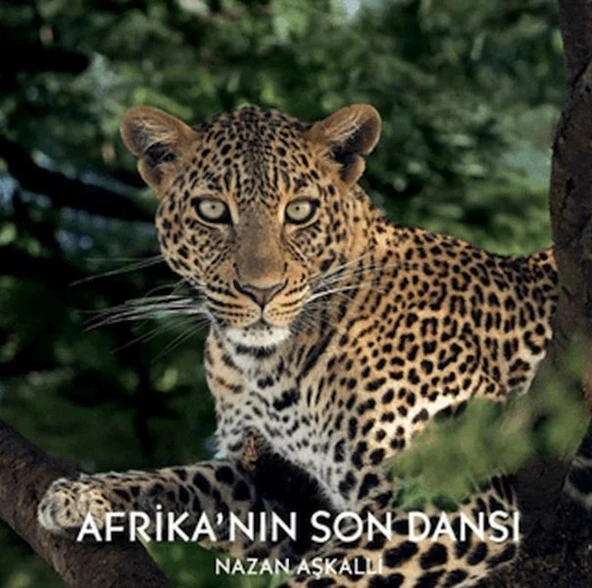 Afrika’nın Son Dansı ürün görseli