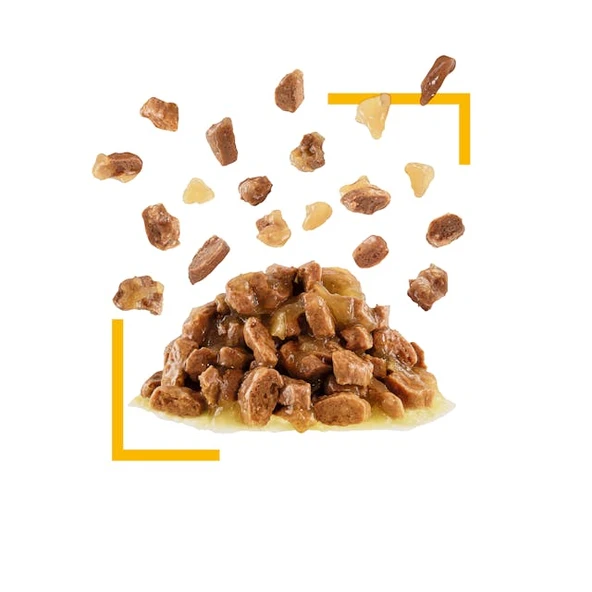 Royal Canin Sensory Taste Gravy Pouch Kedi Konserve Yaş Maması 85 Gr - Resim 2