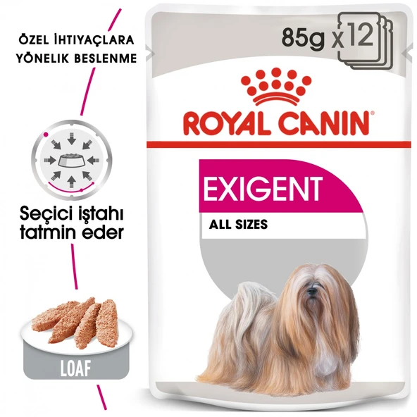 Royal Canin CCN Exigent Loaf Köpek Pouch Konserve Yaş Mama 85 Gr ürün görseli 1