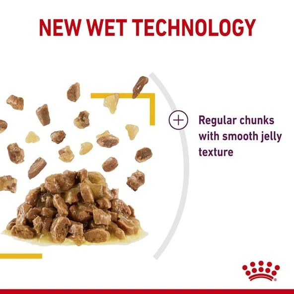 Royal Canin Sensory Taste Gravy Pouch Kedi Konserve Yaş Maması 85 Gr - 7