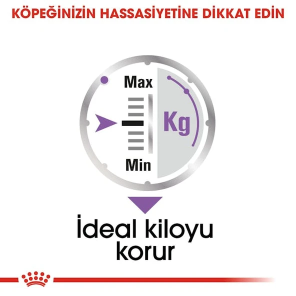 Royal Canin CCN Mini Sterilised Adult Kısırlaştırılmış Köpek Pouch Konserve Yaş Mama 85 Gr - 7