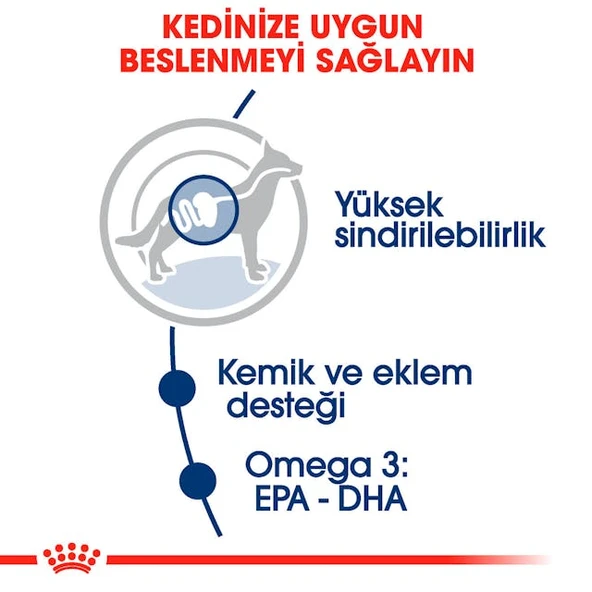 Royal Canin Maxi Adult Büyük Irk Yetişkin Köpekler İçin Parça Etli Konserve Yaş Mama Pouch 140 Gr - Resim 5