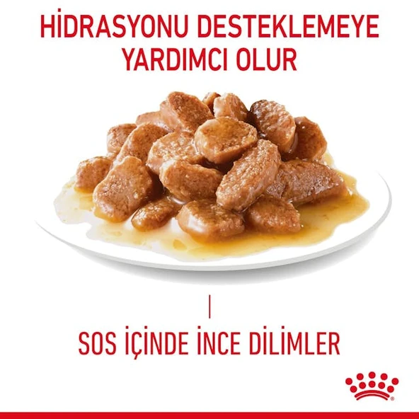 Royal Canın Dıgestıve Sensıtıve 85 Gr - Resim 6