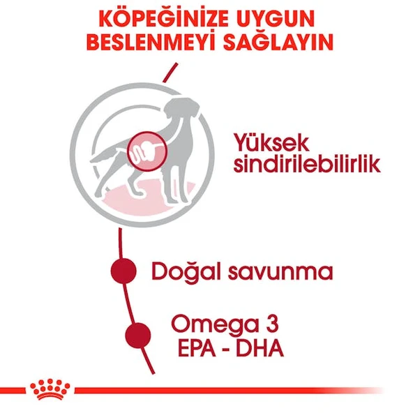 Royal Canin Medium Adult Orta Irk Yetişkin Köpekler İçin Parça Etli Konserve Yaş Mama Pouch 140 Gr - Resim 7