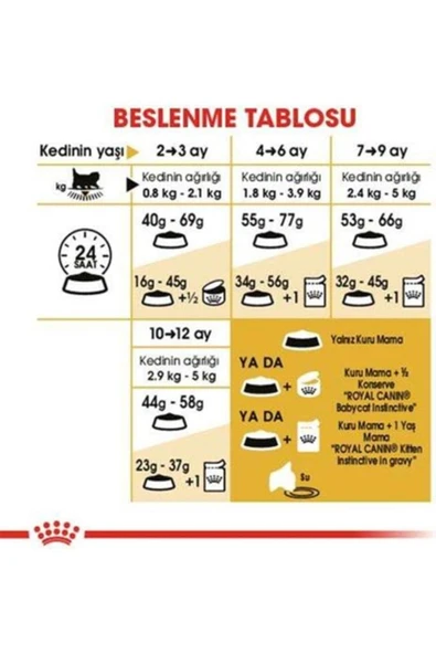 Kitten Persian 32 Yavru Iran Irk Maması 2 Kg - Resim 5