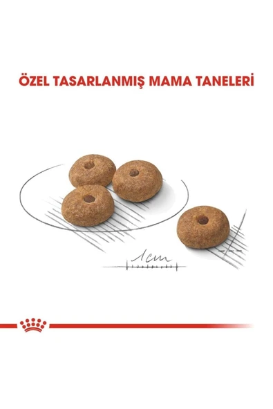 Mini Sterilised Küçük Irk Kısırlaştırılmış Köpek Maması 3 Kg - Resim 3