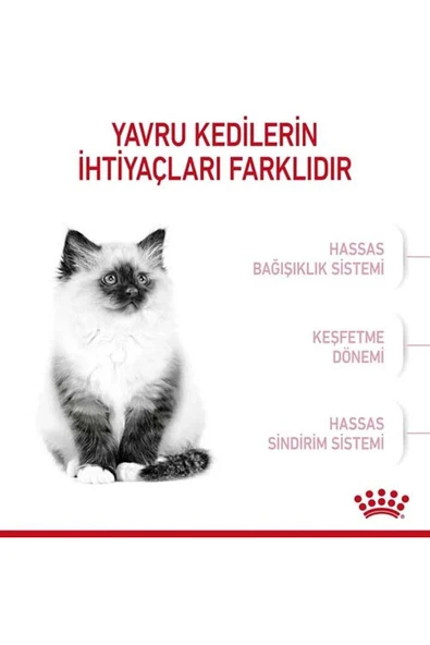 KITTEN- Yavru Kedi Maması- 4 KG - Resim 3
