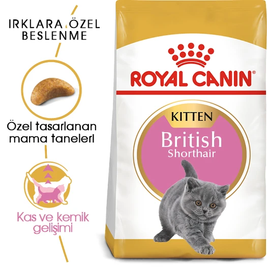 Royal Canin British Shorthair Kitten Yavru Kedi Maması 2 Kg ürün görseli