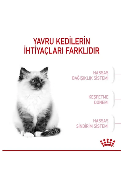 Kitten Yavru Kedi Maması 2 Kg Orijinal Paket Orijinal Lezzet - Resim 5