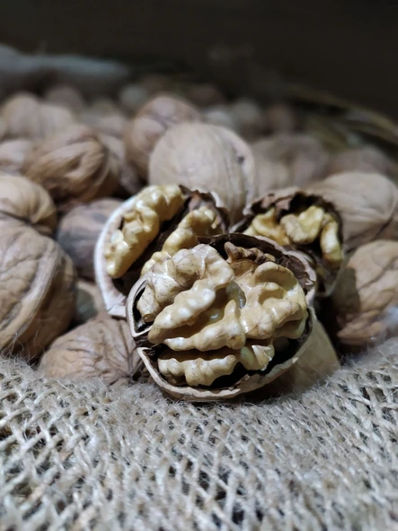 GURMEKENT KABUKLU CEVİZ 1000GR ürün görseli 1