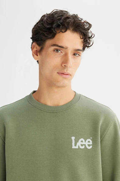 Lee Erkek Small Logo Sweatshirt L2520365904 - 4