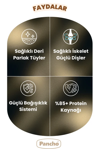 PANCHO EXTRA KUZULU ETLİ YETİŞKİN KÖPEK MAMASI 15KG - 3