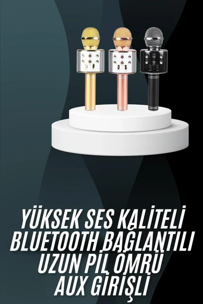 Karaoke Mikrofon Bluetooth Bağlantılı Aux Girişli Uzun Pil Ömrü Yüksek Ses Kaliteli - 2