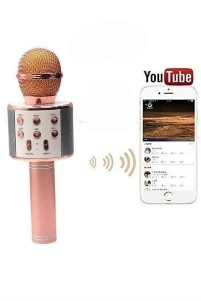 Bluetooth Hoparlör USB AUX SD Kart Kaoroke Mikrofon Uzun Pil Ömrü - Resim 4