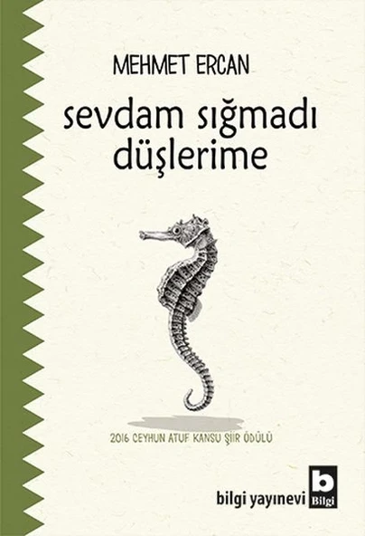 Sevdam Sığmadı Düşlerime ürün görseli