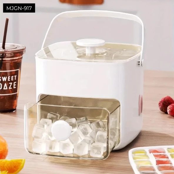 Buz Kalıp Ve Saklama Kutusu - Resim 2