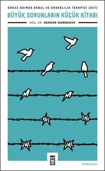 Büyük Sorunların Küçük Kitabı ürün görseli