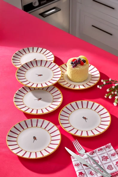 6lı Pasta Servis Tabağı Seti - Kuş Desenli Çizgili Kek Tatlı Kurabiye Davet Sunum Tabak Takımı -17cm ürün görseli 1