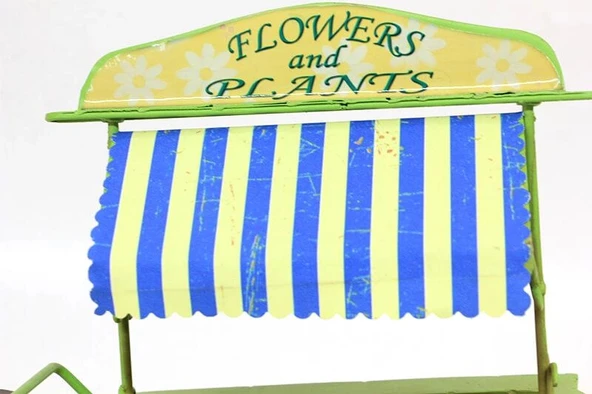 Dekoratif Metal Üç Tekerlekli Çiçek Arabası Biblo Hediyelik - Resim 2