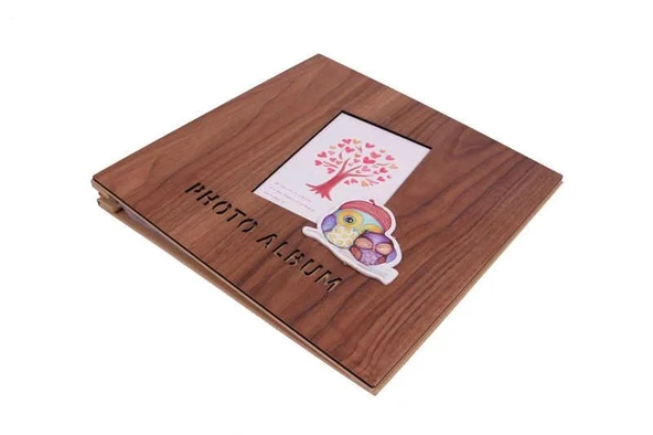 Albüm Ahşap Baykuş Temalı Resim Çerçeveli Hediyelik - Resim 3