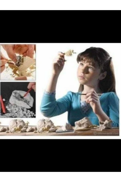 Arkeoloji Kazı Oyuncağı - Dinazor Kazı Oyuncağı - Arkeoloji Oyuncağı ürün görseli