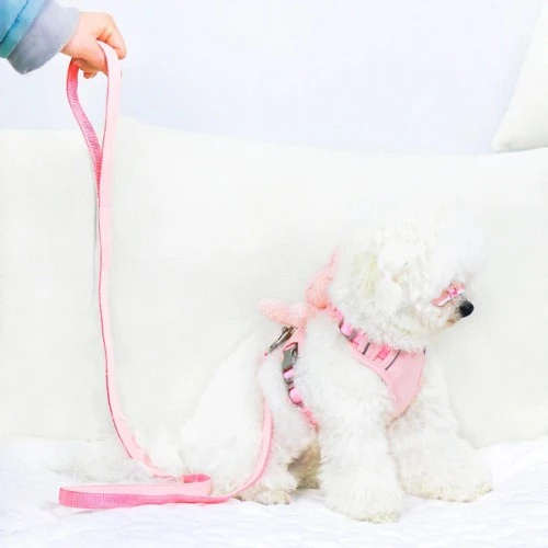 Evcil Hayvan Peluş Ayıcıklı Göğüs Gezdirme Tasması Set - 3