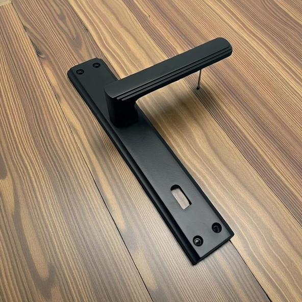 İbiza Mat Siyah Full Zamak Elegant Aynalı Oda Kapı Kolu 1 Takım ürün görseli