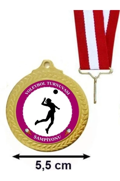 Voleybol Turnuvası Madalyası - Turnuva Madalyası ( 24 Adet ) ürün görseli