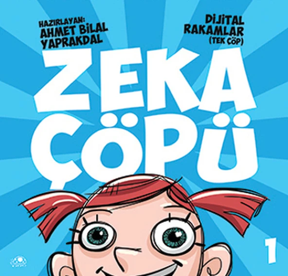 Zeka Çöpü 1- Dijital Rakamlar (Tek Çöp) ürün görseli
