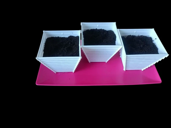 Evde Salata Yetiştirme Kiti - Resim 3