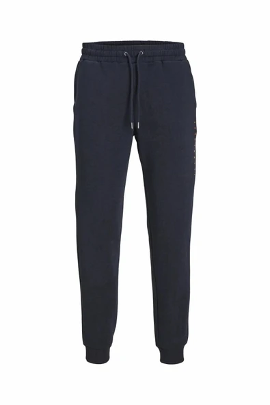 Jack Jones Gordon Estar Erkek Eşofman Altı 12248838 - 3