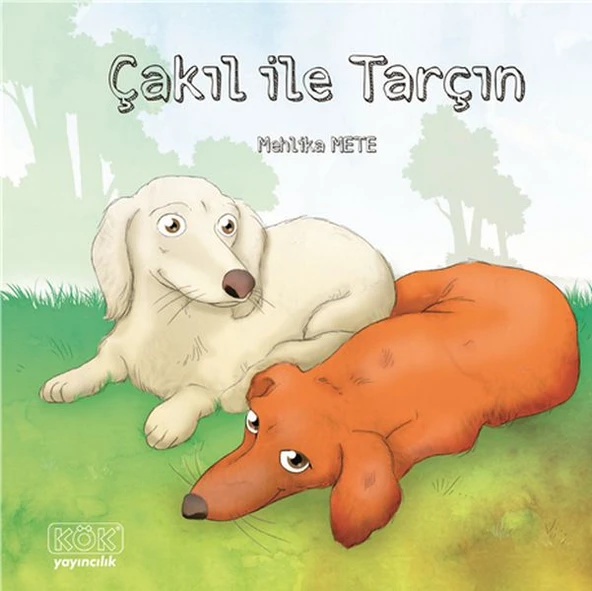 Çakıl ile Tarçın ürün görseli