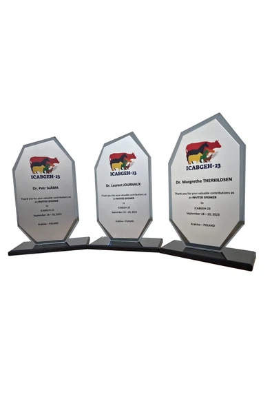 Öğretmene Plaket - Kişiye Özel Plaket - Cam Plaket - Kristal Plaket - Resim 4