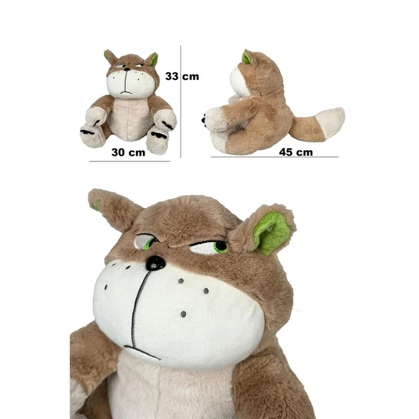 Asabi Sabri Kedi Orijinal Model Tombik Kızgın Kedi 33 cm - Resim 4