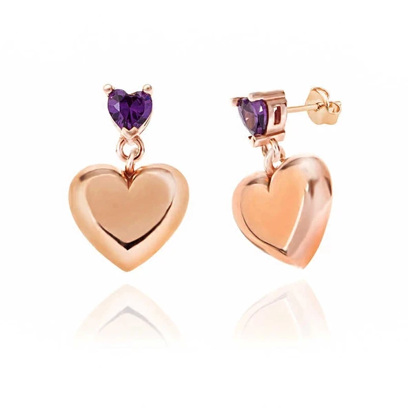 Gümüş Rose Kalp Çivili Kadın Küpe - Resim 2