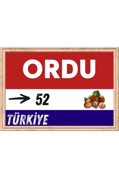 Ordu Tablo - Retro Tablo ürün görseli