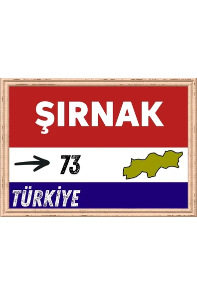 Şırnak Tablo - Retro Tablo ürün görseli