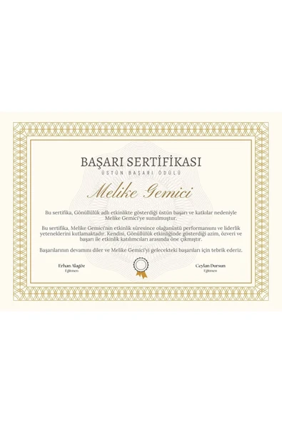 Kişiye Özel Sertifika - Mezuniyet Sertifikası - Başarı Sertifikası ( 10 Adet ) Gold Renk ürün görseli
