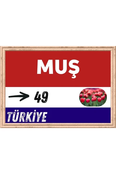 Muş Tablo - Retro Tablo ürün görseli