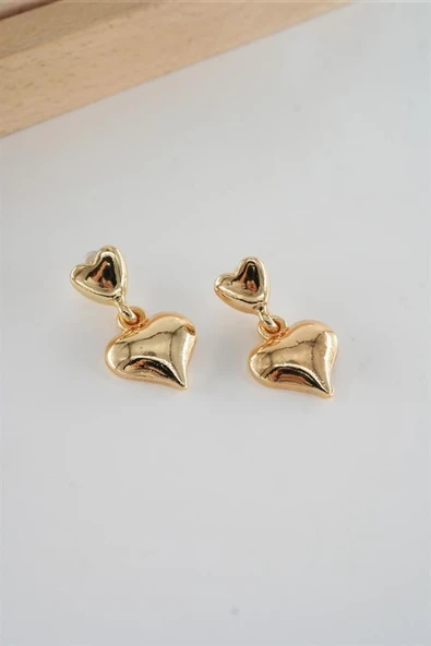 Kadın Özel Tasarım Kalp Figürlü Küpe ürün görseli