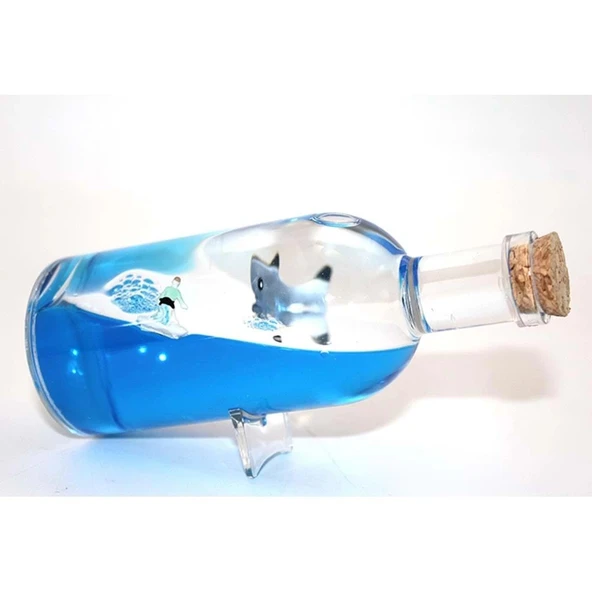 Şişe İçinde Batmayan Gemi ürün görseli 1