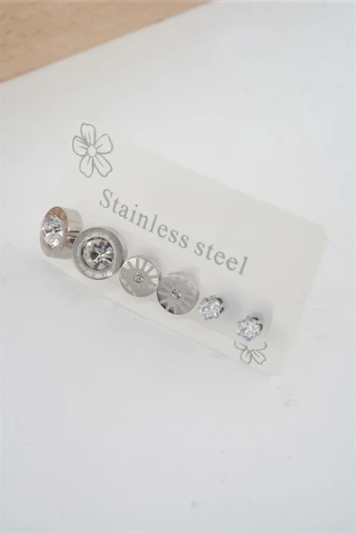 Kadın 316 L Paslanmaz Çelik Kararmaz  6'lı Küpe Seti ürün görseli